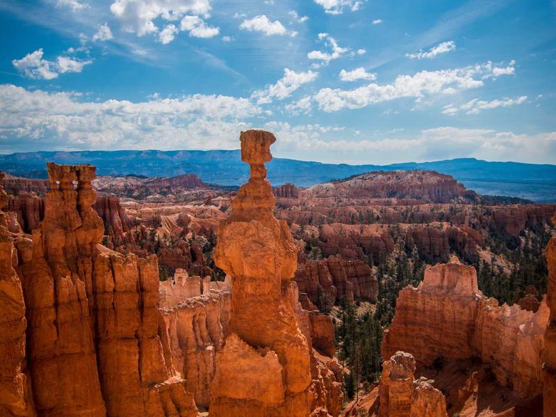 sudoku brain exercise screenshot 6